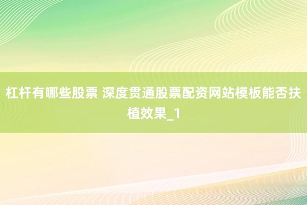 杠杆有哪些股票 深度贯通股票配资网站模板能否扶植效果_1